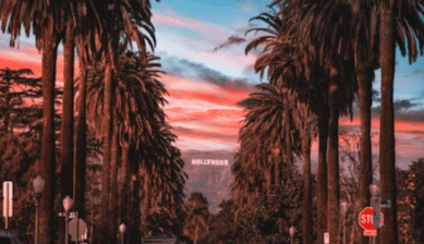 Eine von Palmen gesäumte Straße in den USA bei Sonnenuntergang fotografiert