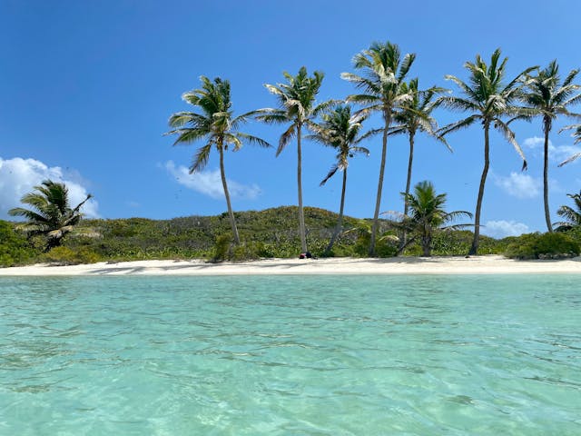 Blick auf Palmen an einem tropischen Strand unter blauem Himmel, Cancun, Mexiko