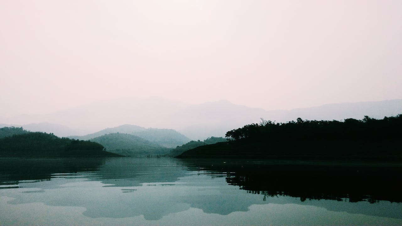 Grüner Wald in der Nähe eines Gewässers in Krông Pắc, Đắk Lắk, Vietnam