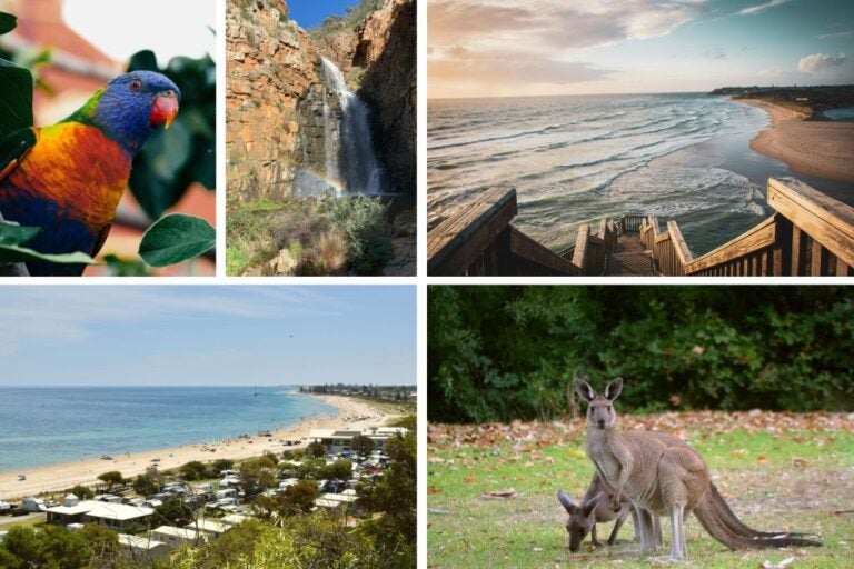 Adelaide, eine beliebte Stadt für Digitale Nomaden in Australien