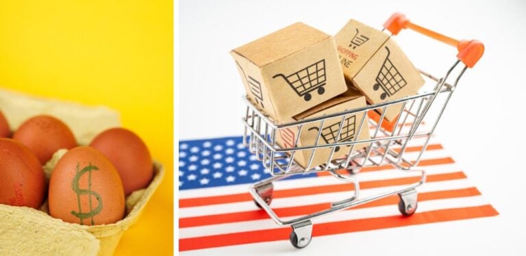 Lebenshaltungskosten in den USA: Einkaufswagen mit Flagge der USA und Eier mit dem Dollarzeichen