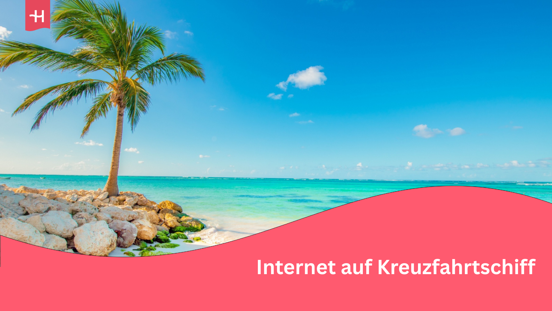 Ein Traumstandstrand und eine Palme.