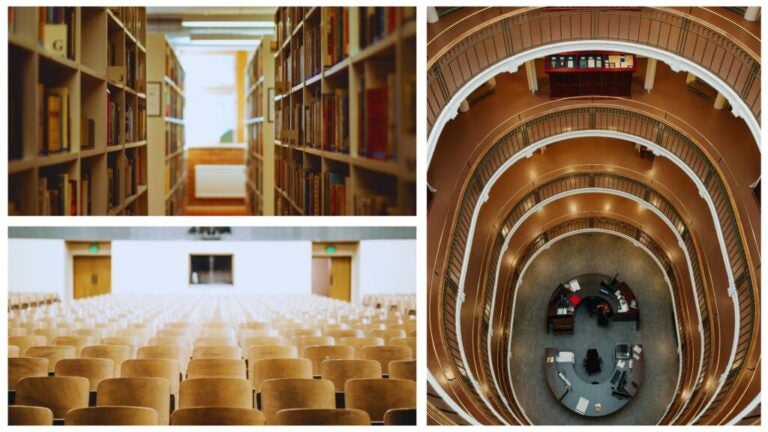 Studieren in Finnland