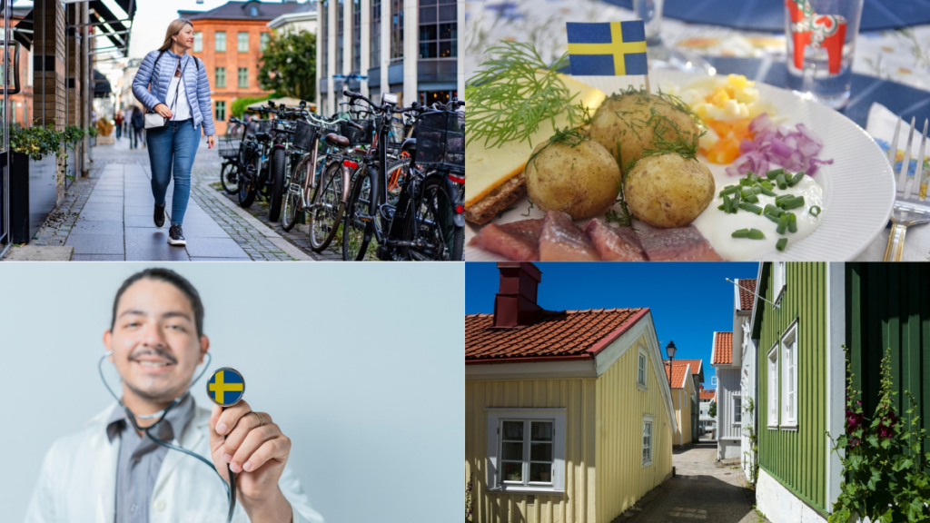 Kosten für Wohnen, Gesundheit, Verkehr und Lebensmittel in Schweden.