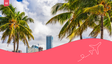 Palmen und im Hintergrund die Skyline von Miami.