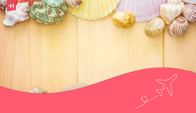 Eine Kollektion farbenbunter Muscheln