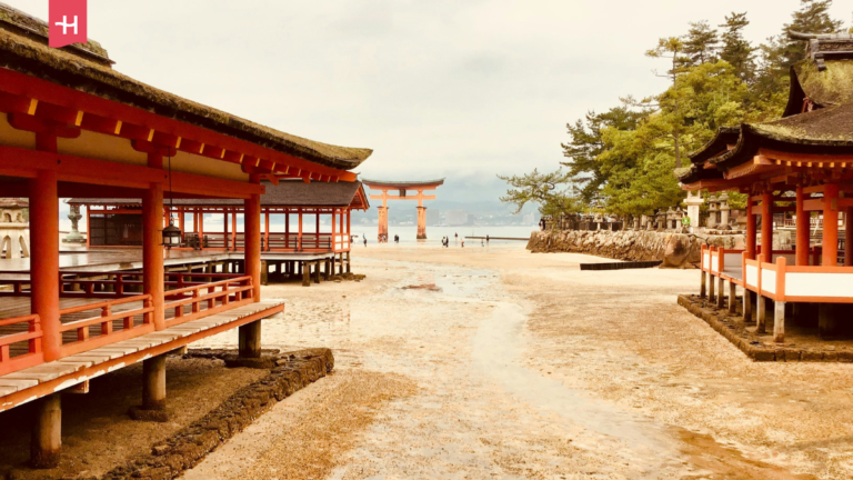 der Feldweg zwischen den roten Gebäuden