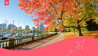 Herbstliches Reiseziel im Oktober mit Uferpromenade, bunten Bäumen und Stadtblick am Wasser