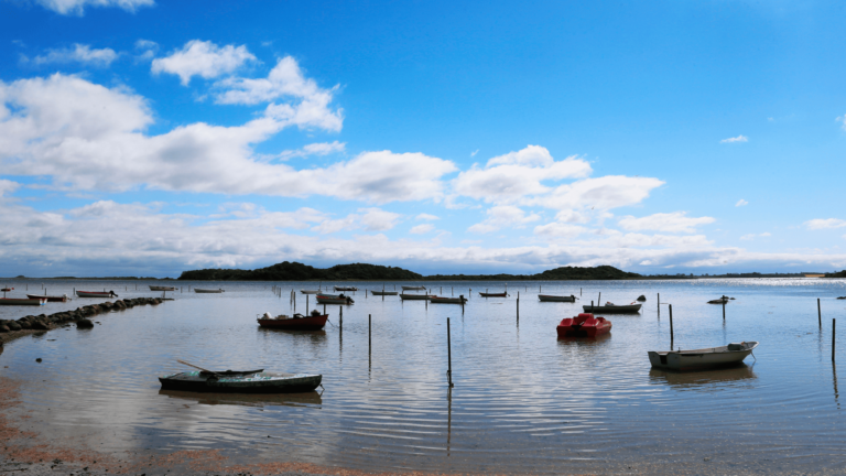 Boote dümpeln nahe der Insel Samsø in Dänemark