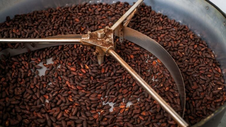 Balinesische Schokolade aus lokalen Kakaobohnen – süßes Souvenir aus Bali