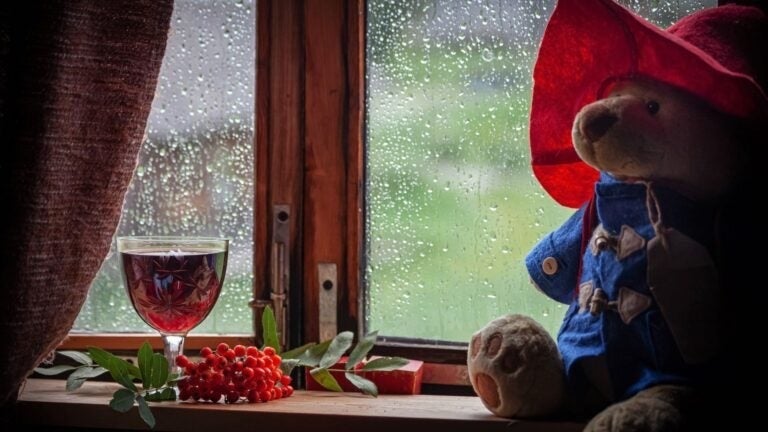 Ein Teddybär und ein Glas Wein auf einem Fensterbrett,