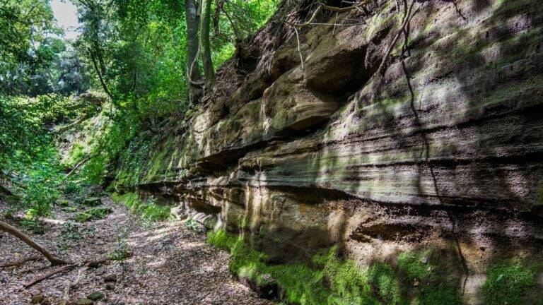 Waldwege im Parco di Veio, ideal zum Wandern in der Nähe von Rom.