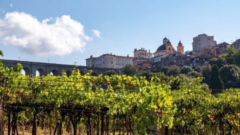 Blick auf die Brücke und die Stadt Ariccia von einem Weinberg aus.