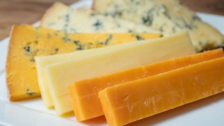 Eine Auswahl an Käsescheiben auf einem Teller.