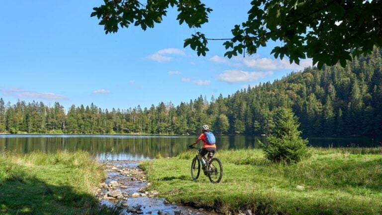 Radfahrer an einem See im Schwarzwald