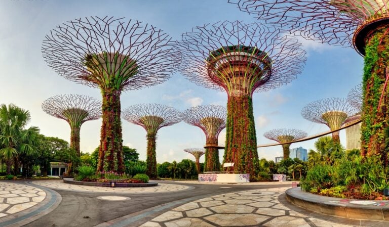 Gardens by the Bay in Singapur