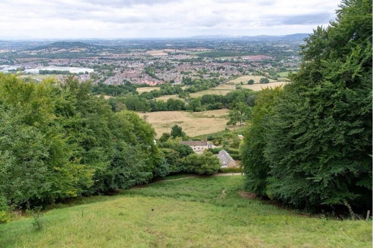 Blick von einem bewaldeten Hügel über eine grüne Landschaft.