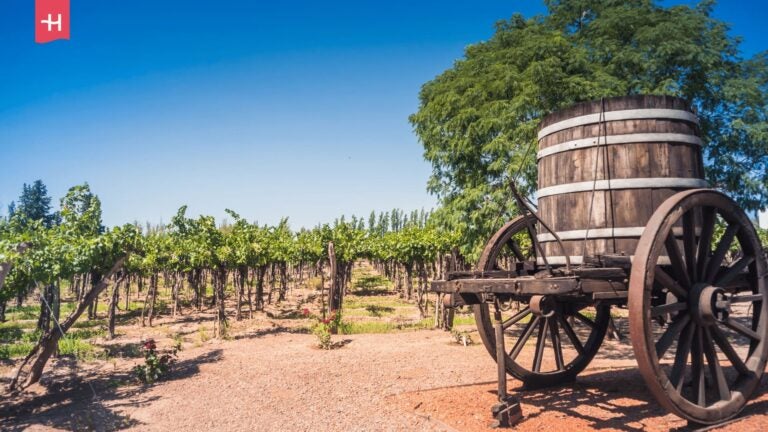 Ein Holzkarren mit einem Weinfass steht am Rand eines Weinguts in Mendoza, Argentinien.