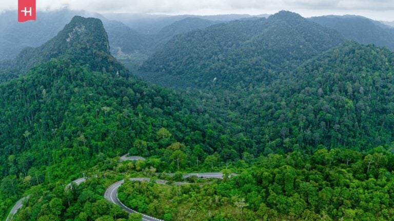 Luftaufnahme einer kurvigen Bergstraße in Wang Kelian, Malaysia.