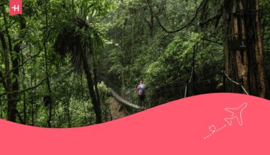 Hängebrücke im Regenwald von Costa Rica