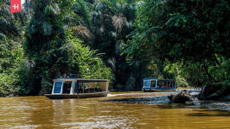 Bootstour im Dschungel von Costa Rica