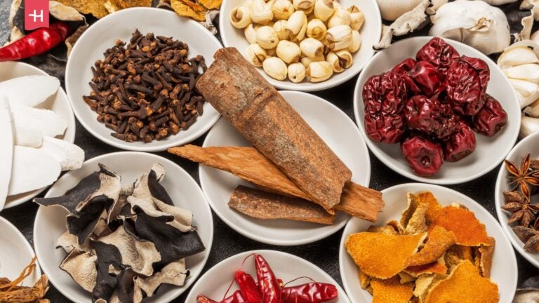 Getrocknete Zutaten der Traditionellen Chinesischen Medizin 