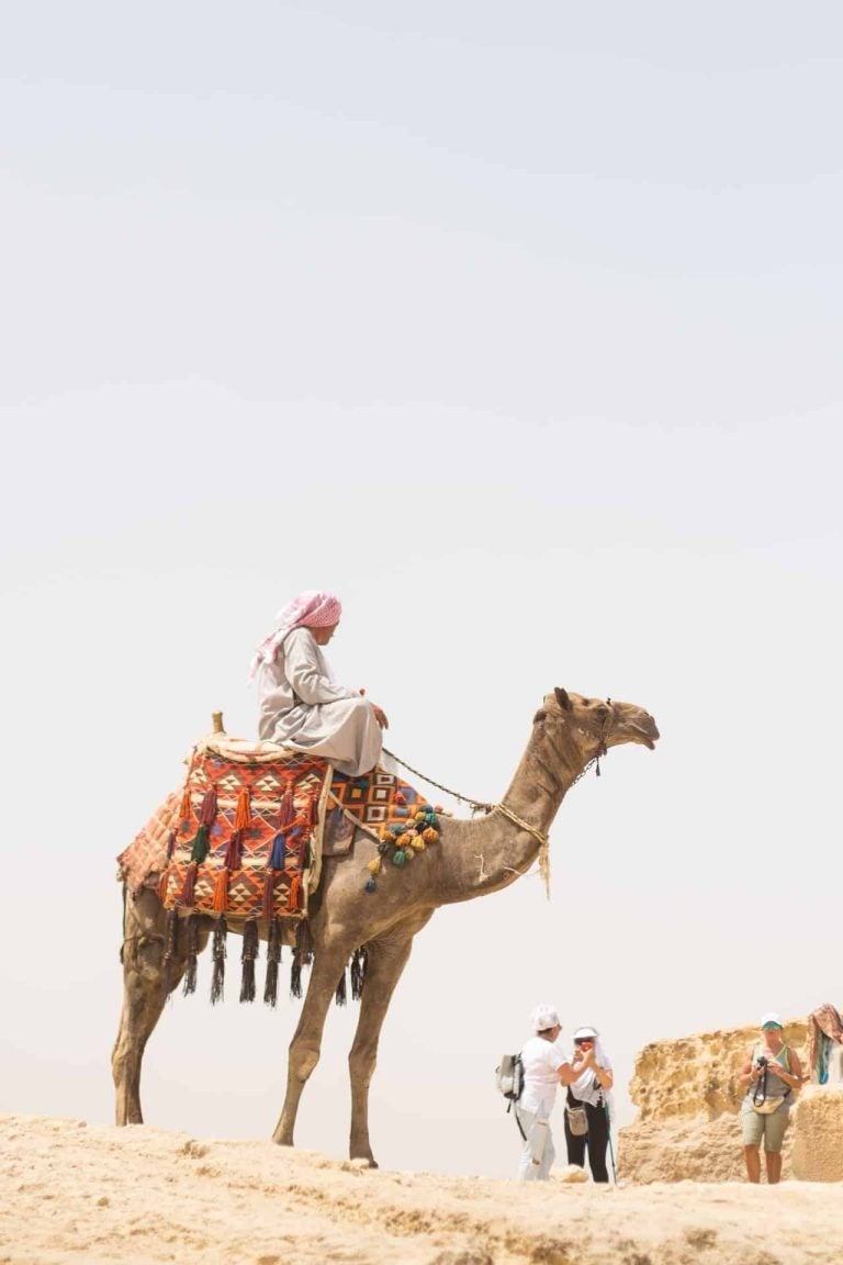 chip para Egipto, camello, desierto, turistas, sim card, cleular, móvil