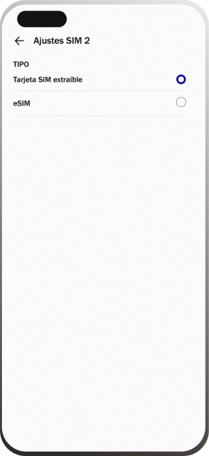 instalar esim google pixel paso 2