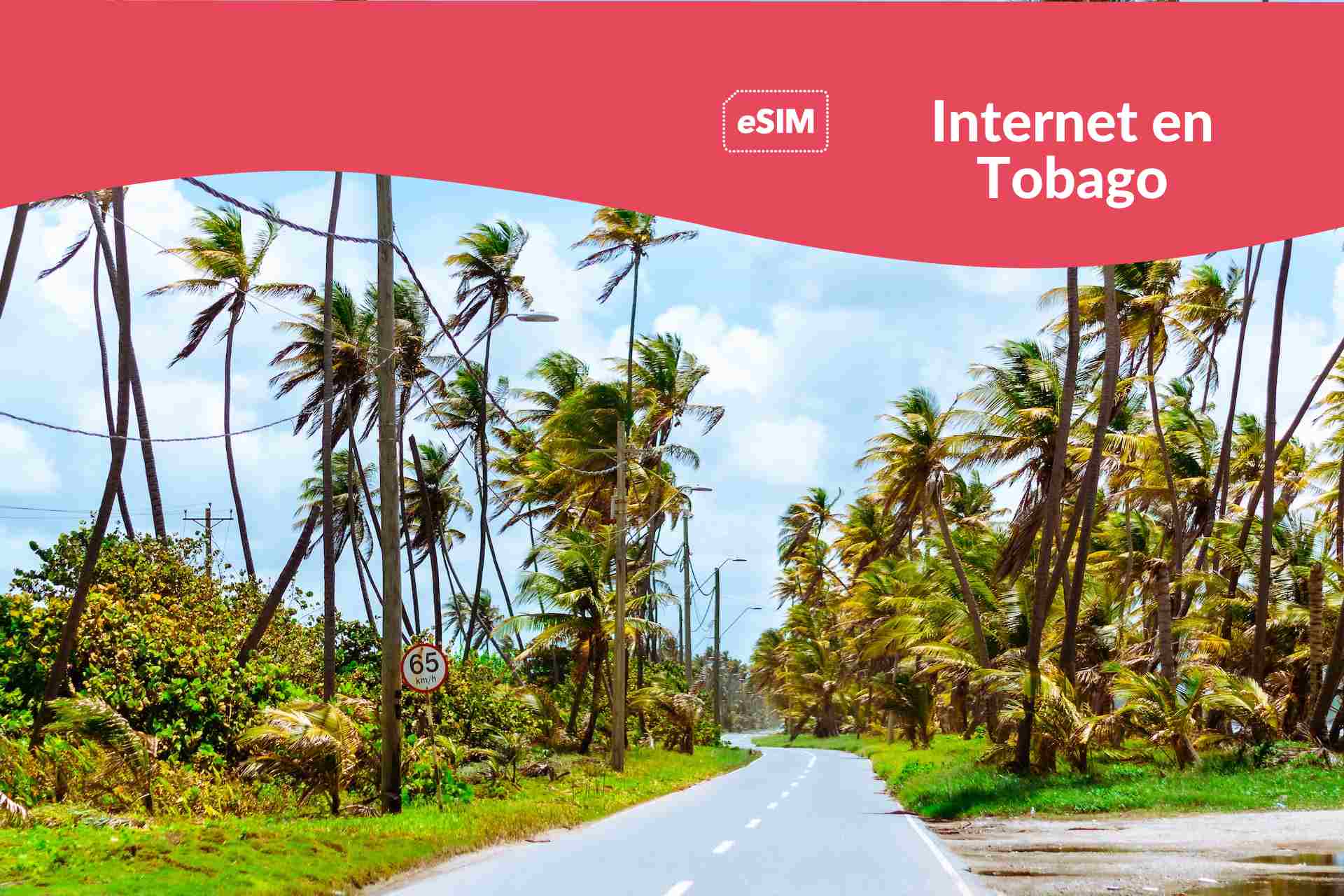 internet tobago