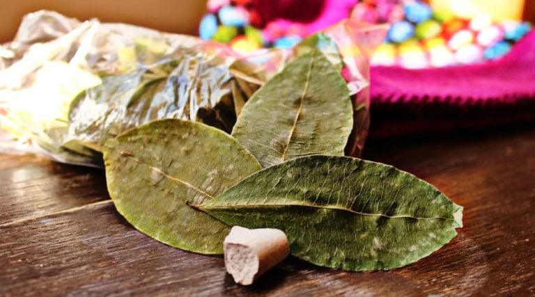 Hojas de coca, Cuzco, Perú