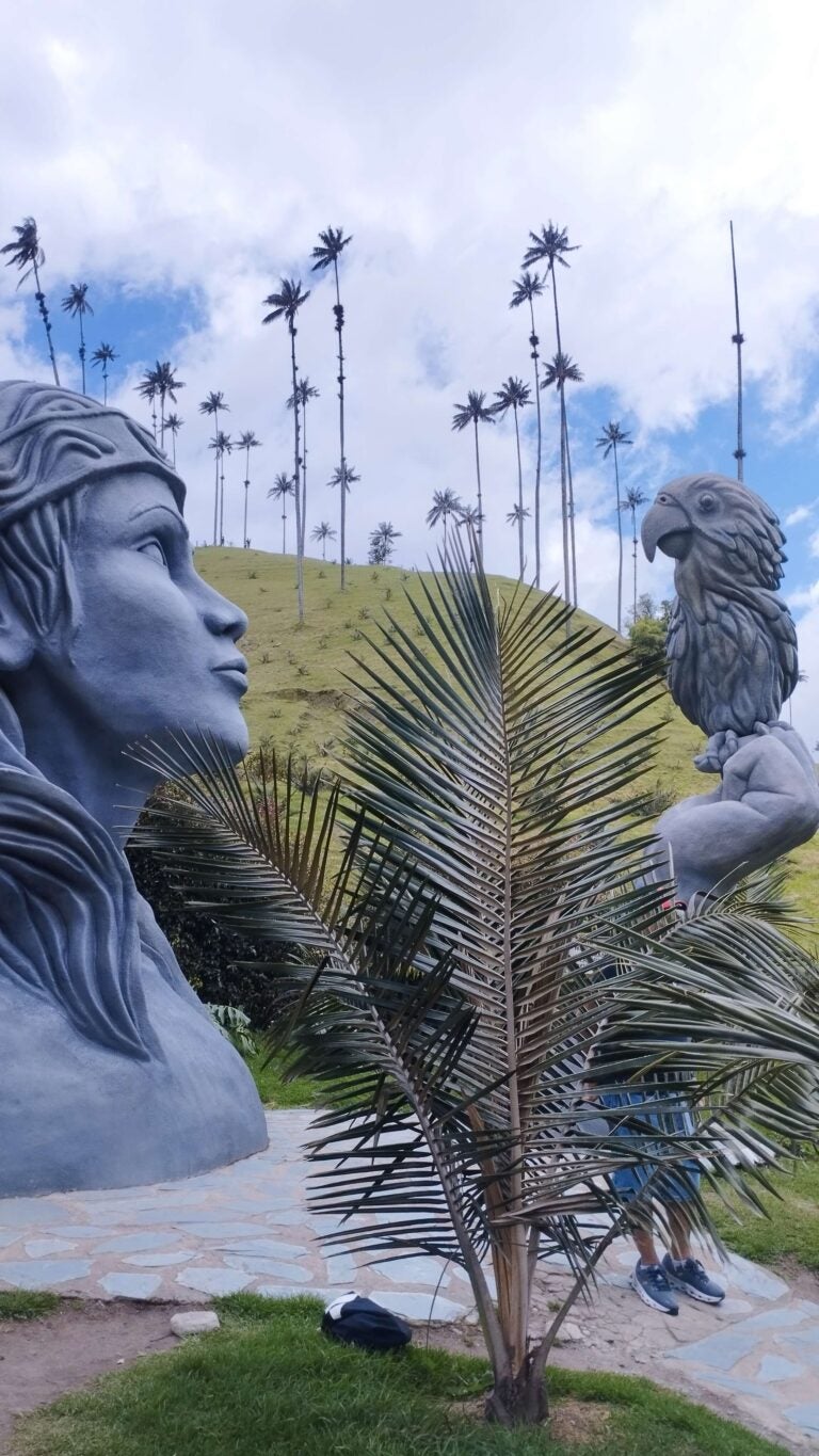 Valle del Cocora
