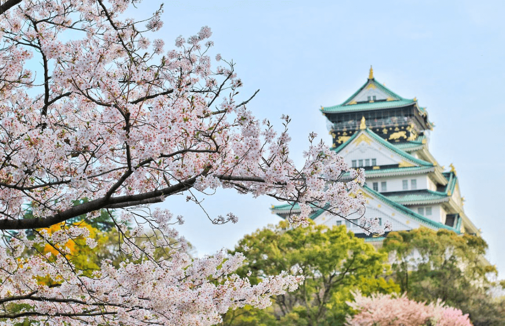 Organizar viaje a Japón