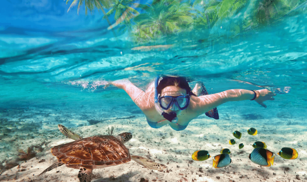 Viajar a Aruba desde Colombia