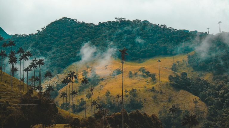 mejores ciudades para vivir en Colombia