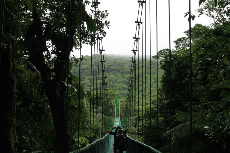 guía nómada digital en Costa Rica