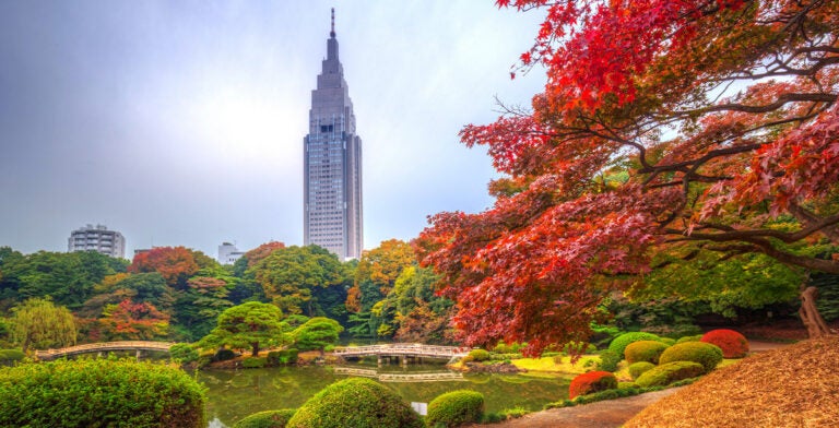 Otoño en el Parque Shinjuku, Tokio, Japón
