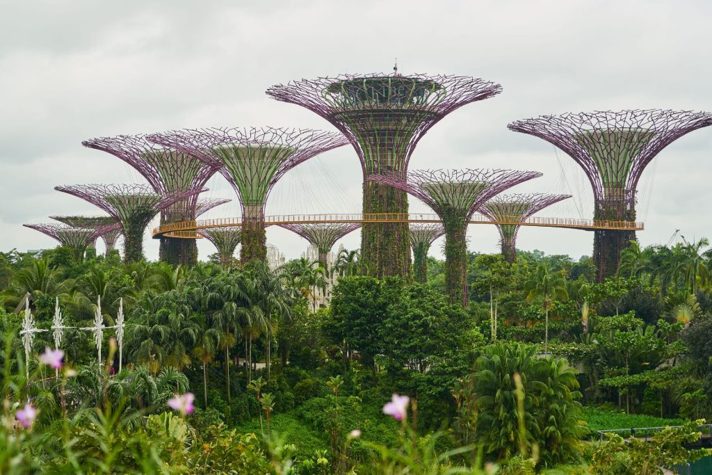 Supertrees en Gardens by the Bay