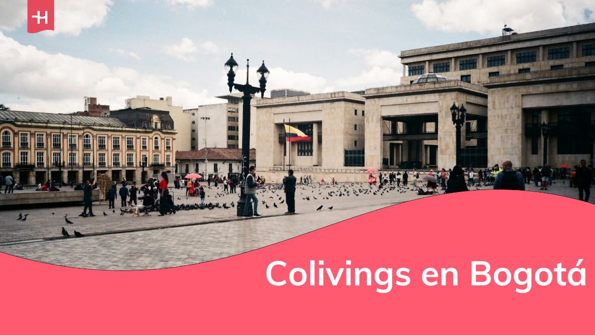 coliving en bogotá, paso a paso