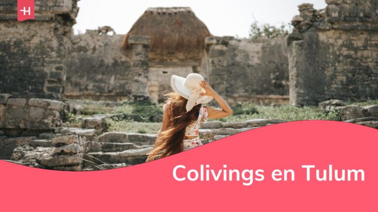 coliving en tulum, paso a paso