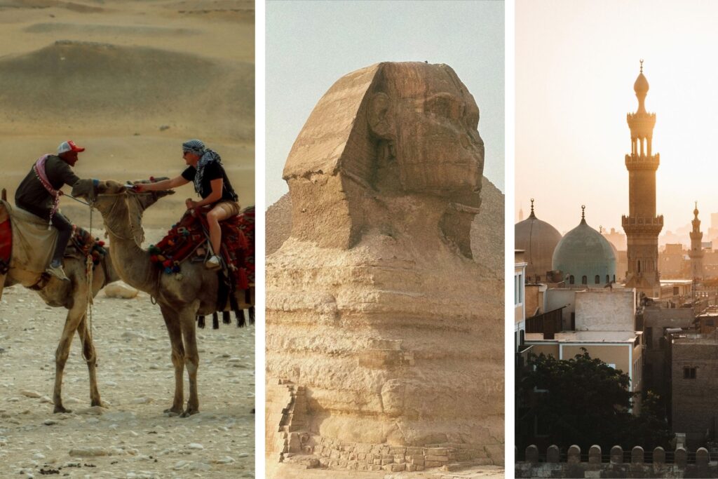 Esfinge egipcia, camellos y edificios de El Cairo.