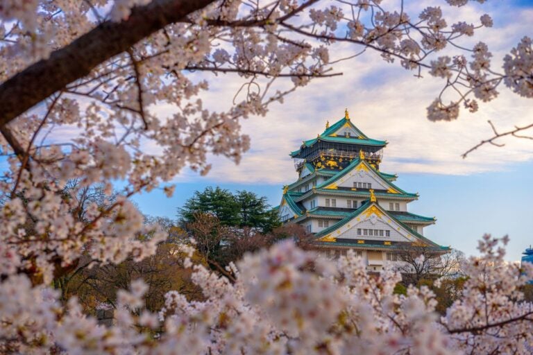 Imagen del Castillo de Osaka en Japón, rodeado de cerezos en flor durante la primavera.