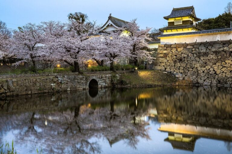 Fotografía del Castillo de Fukuoka en Japón, con cerezos en flor y reflejos en un estanque