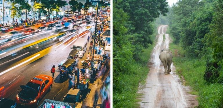 Elefante en carretera de Tailandia y tráfico en Bangkok