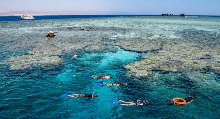 Esnórquel en Jackson Reef, isla de Tirán