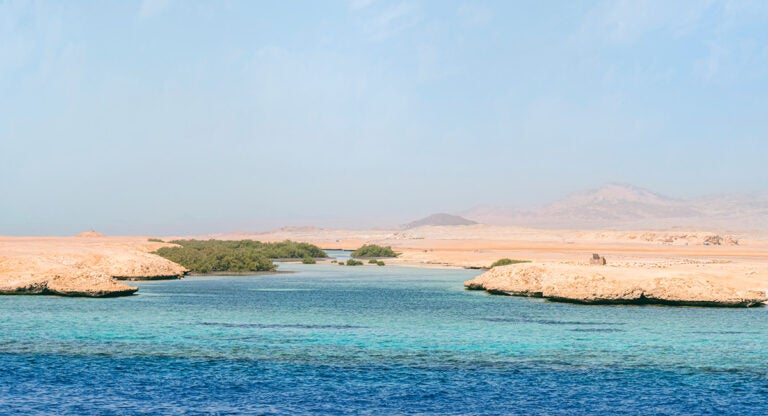 Reserva natural Ras Mohamed