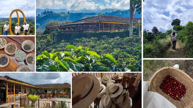 Ruta del café, tour hacienda cafetera en el Quindío