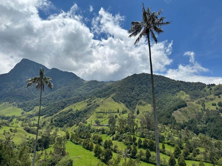 Valle del Cocora