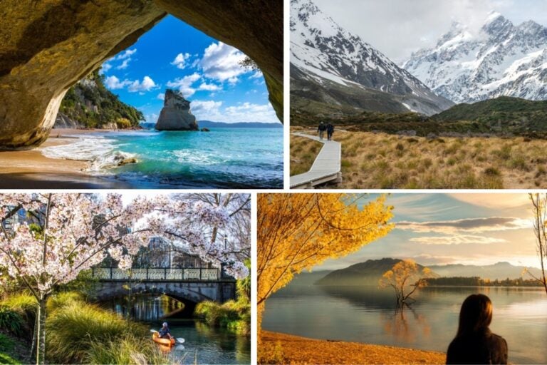 cuando estudiar en nueva zelanda