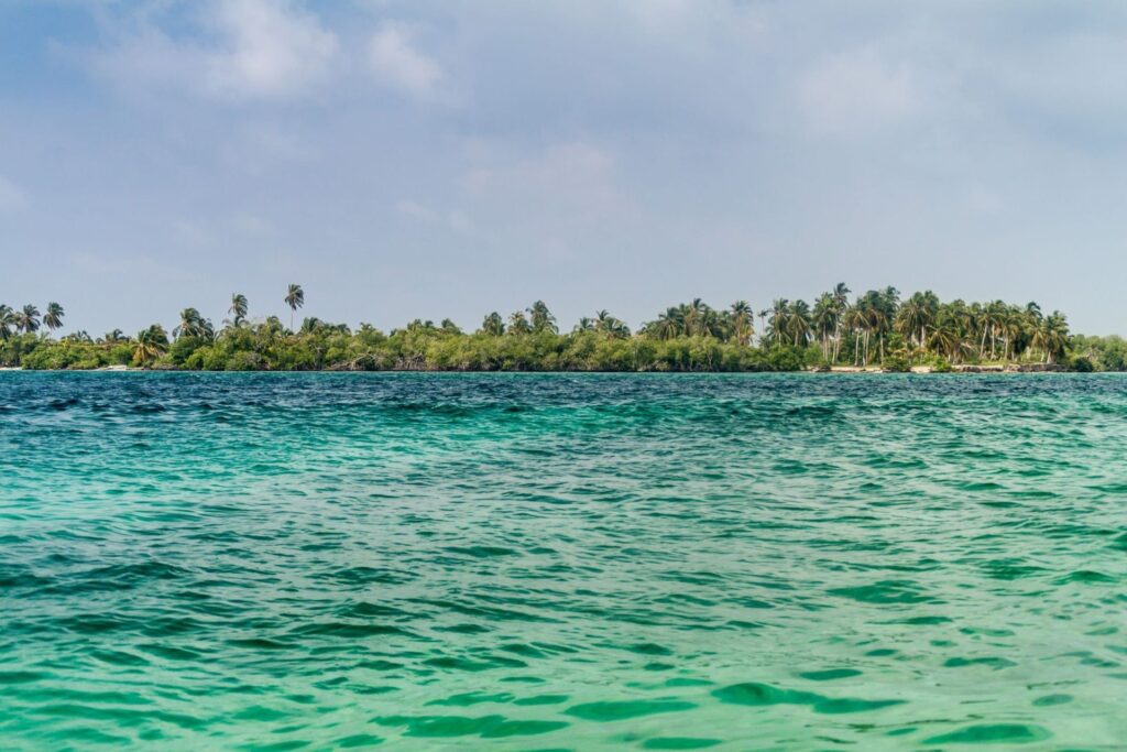 Vista de isla Palma en el Caribe colombiano con aguas turquesas y exuberante vegetación.