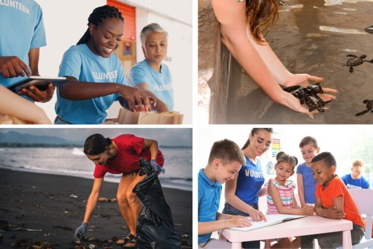 Voluntarios recogiendo basura, ayudando a tortugas o en escuelas con niños.
